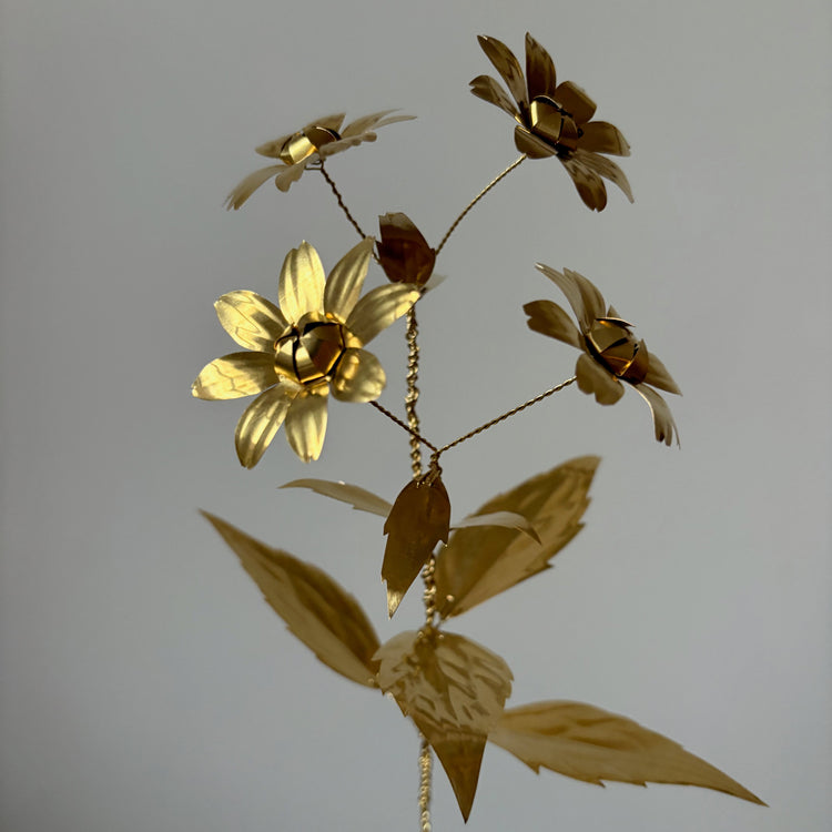 Brass Rudbeckia Triloba Flower