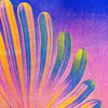 Affiche risographie 'A Flower at Sunset'