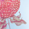 Affiche risographie 'Fleur ronde'