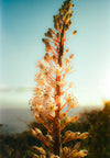 Photographie 'Sicile 001' [sur commande]