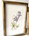 Original watercolor 'Violet and Tickseed'
