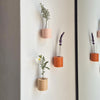 Small pink Ribble wall vase