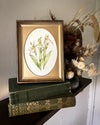 Aquarelle originale 'Sabot de la Vierge blanc'