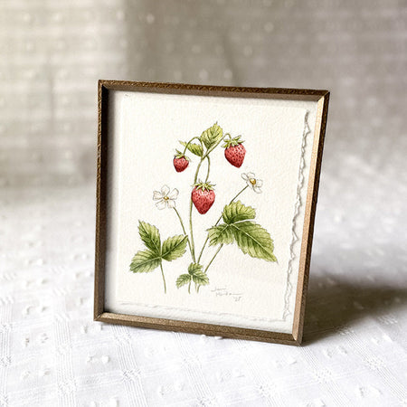 Aquarelle originale 'Fraisier des bois'