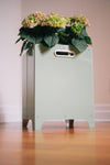 Jardinière Le Baquet olive