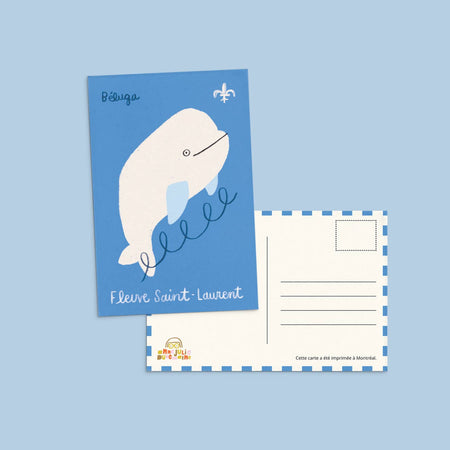 Beluga postcard 
