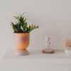 Euphoria Large Ceramic Planter