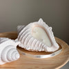 Bougie coquillage lavande et sel de mer