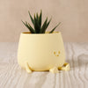 Happy Pot pale yellow plant pot [various sizes] 