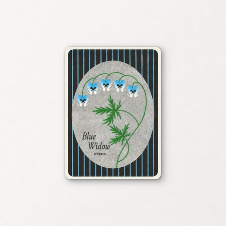 Affichette risographie 'Blue Widow'