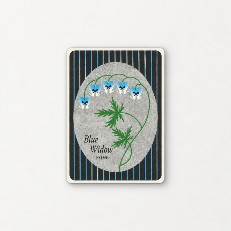Affichette risographie 'Blue Widow'