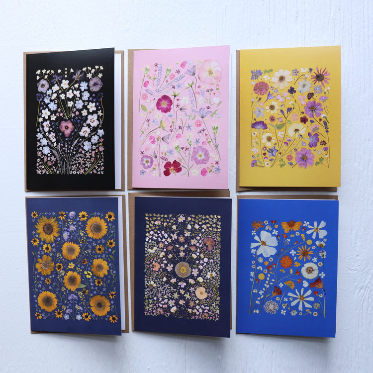 Box of 6 Garden greeting cards