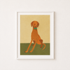 Affiche 'Ellie the vizsla'