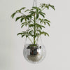 Disco ball planter [various sizes] 