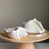 Bougie coquillage lavande et sel de mer