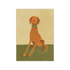 Affiche 'Ellie the vizsla'
