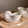 Bougie coquillage noix de coco et lime