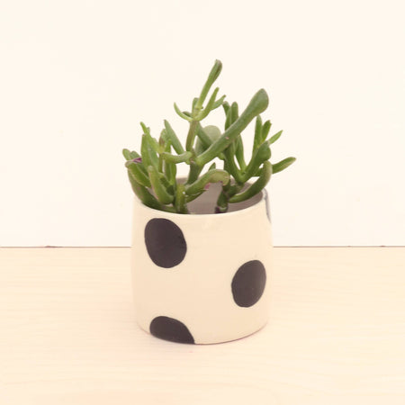 Petit cache-pot à pois