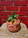 Gardening Spells II Planter