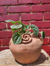 Gardening Spells Planter