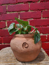 Gardening Spells Planter