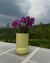 Honeydew vase [varied models]