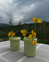 Honeydew vase [varied models]