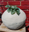 Love Letter Planter