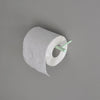 Mint toilet paper holder