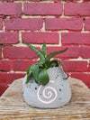 Cache-pot Enchanted Concrete