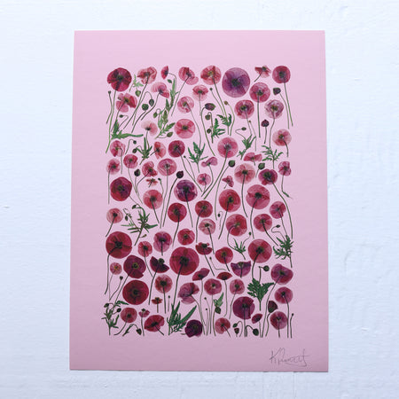 Garden Poppy Poster