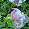 Figurine Swan [couleurs variées]
