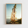 Photographie 'Sicile 001' [sur commande]