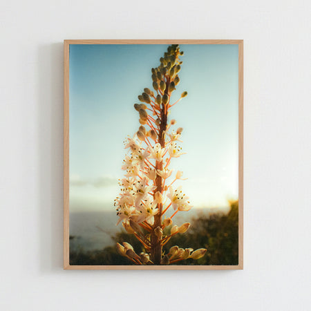 Photographie 'Sicile 001' [sur commande]