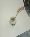 Vase You Already Have