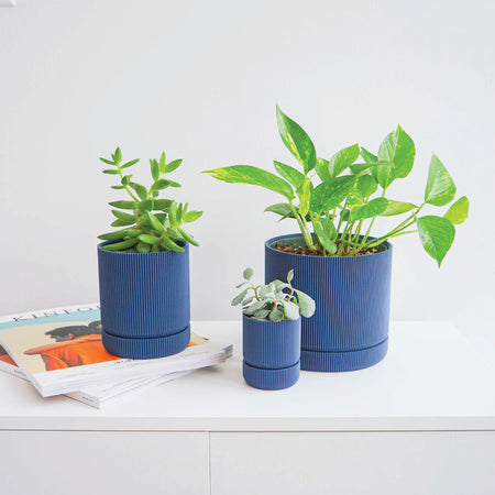 Hemlock blue plant pot 6" 