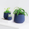 Pot à plantes Juniper bleu [formats variées]