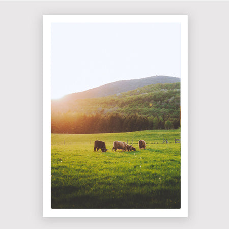 'Highland' photography poster 