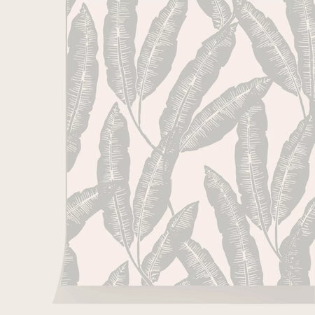 Papier peint Plumes Nuage